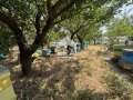 Продава ПАРЦЕЛ, област Варна, с. Момчилово • 43000 € • 33567991 — Holmes.bg