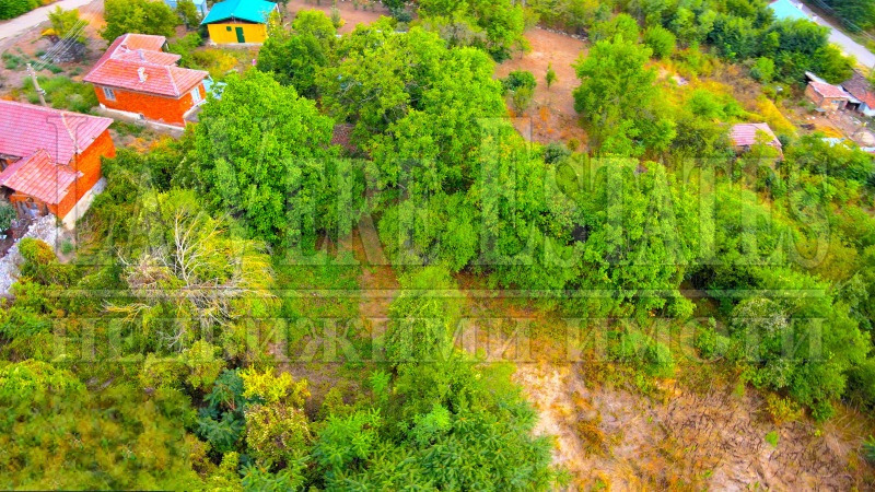 For Sale  Plot region Ruse , Novo selo , 3000 sq.m | 24767099 - image [5]