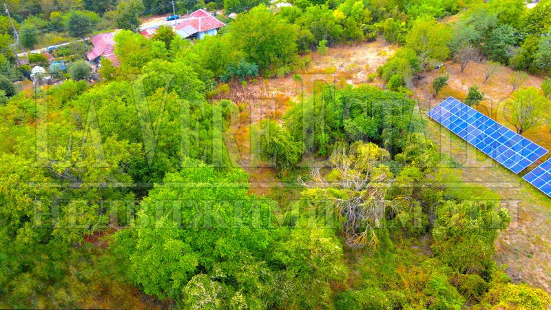 For Sale  Plot region Ruse , Novo selo , 3000 sq.m | 24767099 - image [3]