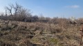 Продава ПАРЦЕЛ, гр. Русе, Чародейка - Юг, снимка 2