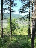 Продава  Парцел област София , с. Владо Тричков , 480 кв.м | 22127713 - изображение [2]