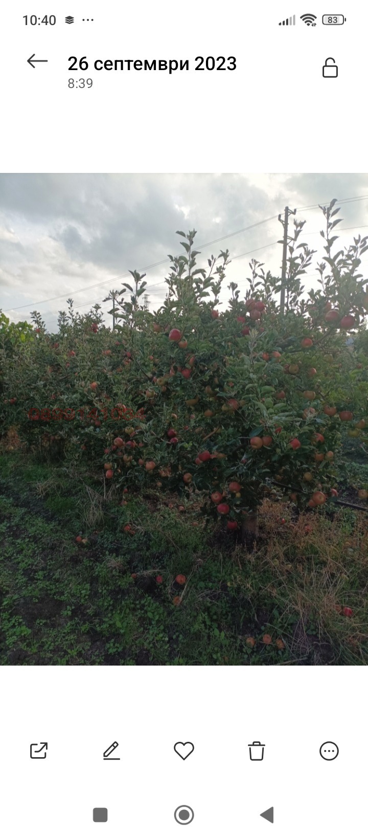 ������� ���������� ���� | Imot.bg � ����������� 1