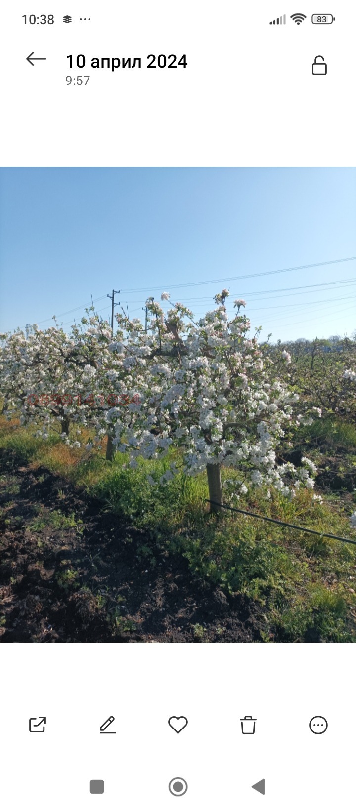 ������� ���������� ���� | Imot.bg � ����������� 2