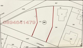 ����� ������� ������,�. ���������, ������ �������