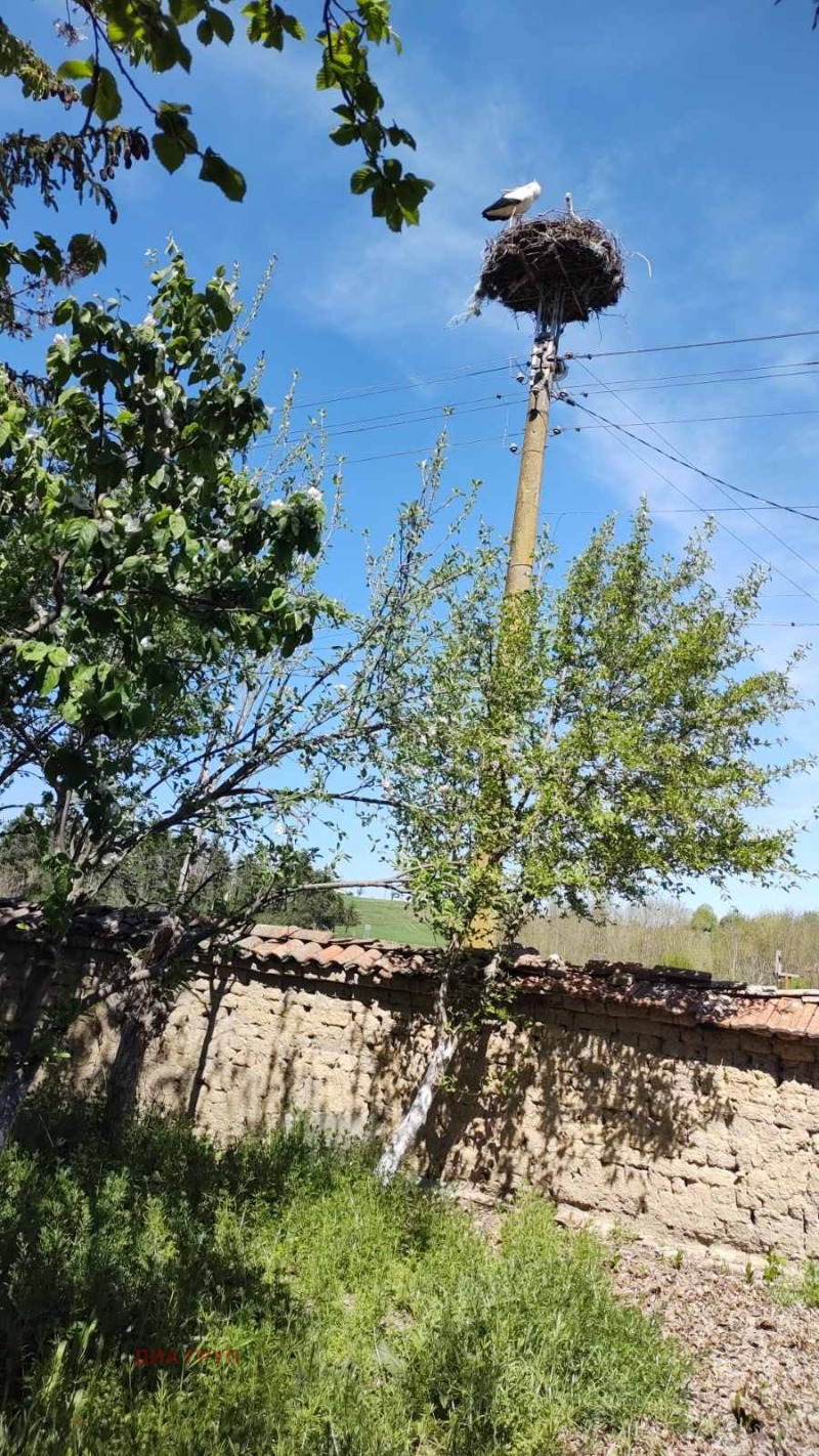 Til salgs  Hus region Pleven , Kamenets , 120 kvm | 89526297 - bilde [10]
