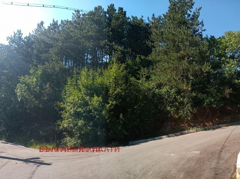 For Sale  Plot Sofia , Knyazhevo , 5479 sq.m | 91833853 - image [2]