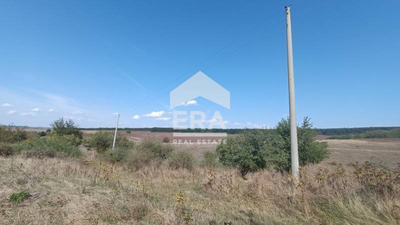 Til salgs  Plott region Targovishte , Presjak , 2580 kvm | 40309744 - bilde [5]