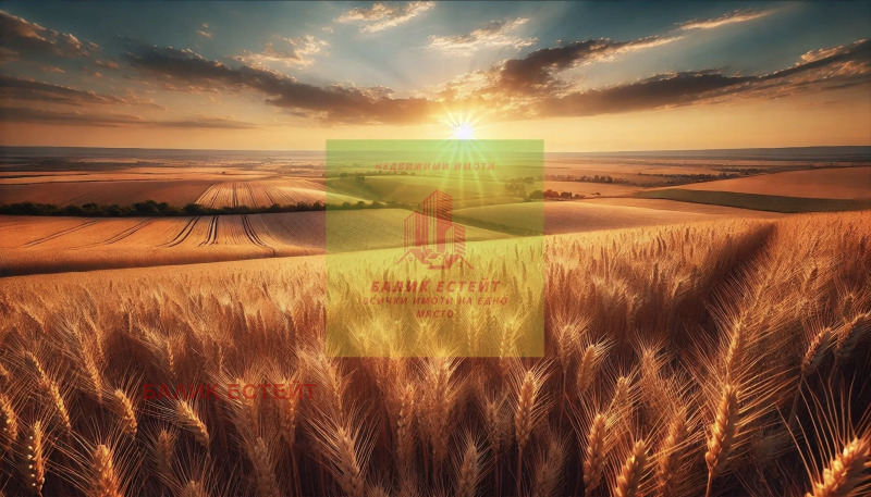 Продава ЗЕМЕДЕЛСКА ЗЕМЯ, гр. Добрич, област Добрич