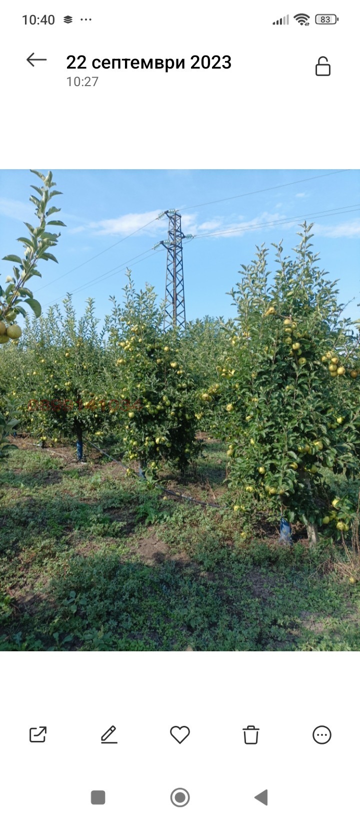 Продава ЗЕМЕДЕЛСКА ЗЕМЯ, гр. Ахелой, област Бургас, снимка 2 - Земеделска земя - 53768960