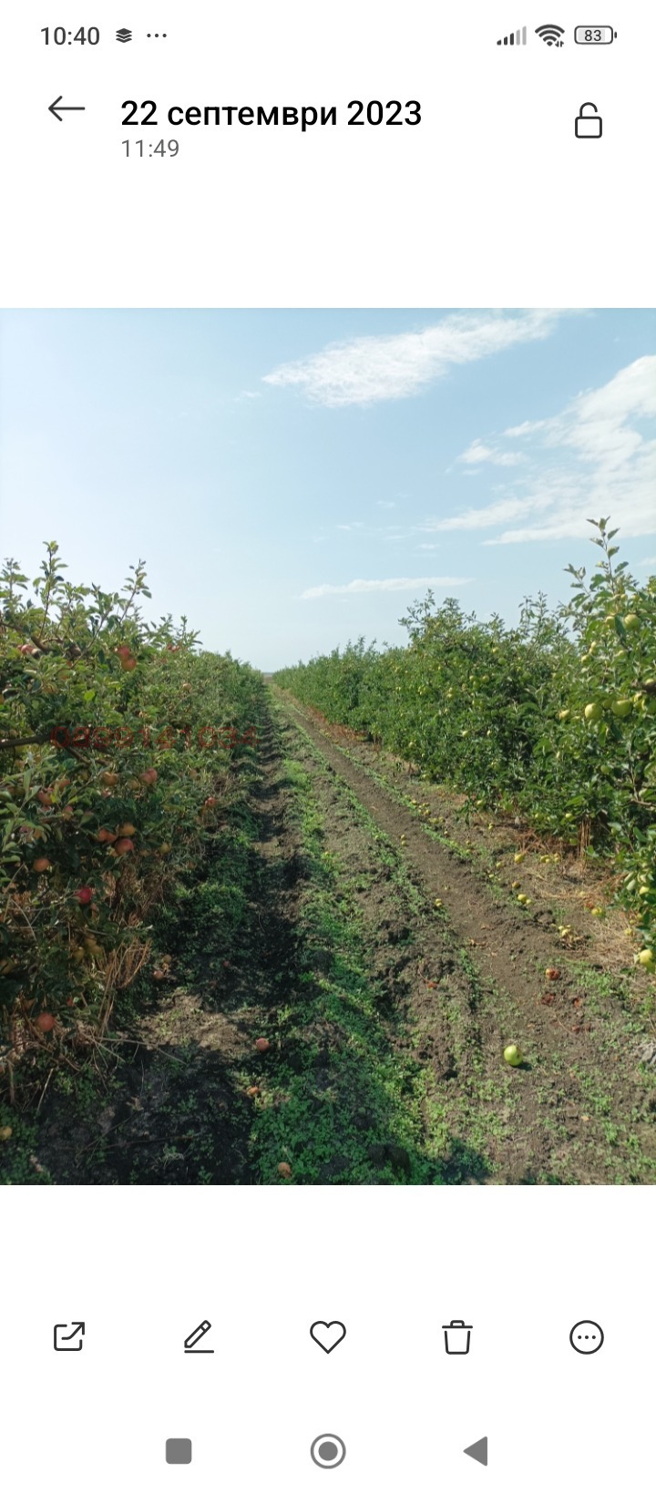 Продава ЗЕМЕДЕЛСКА ЗЕМЯ, гр. Ахелой, област Бургас, снимка 3 - Земеделска земя - 54117135