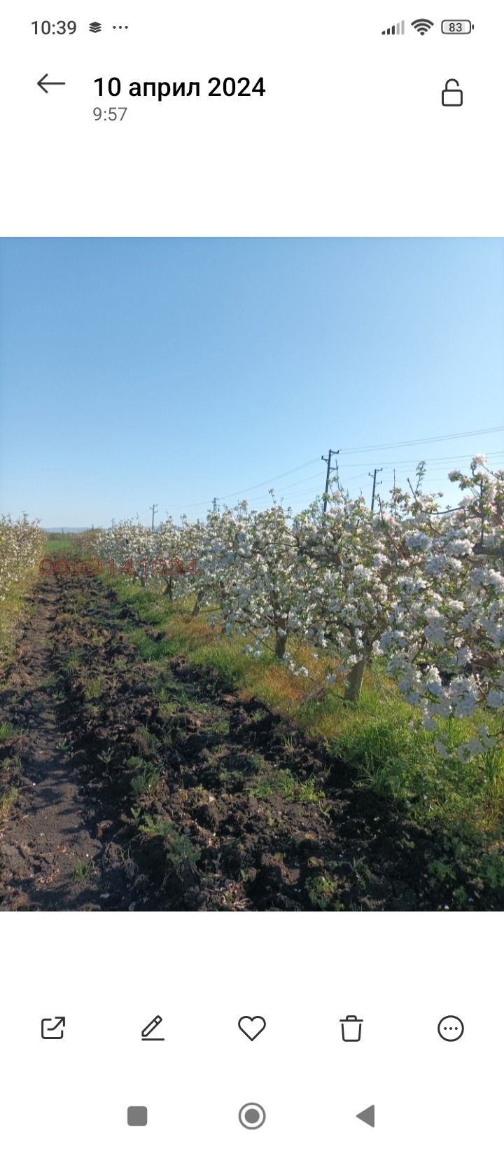 Продава ЗЕМЕДЕЛСКА ЗЕМЯ, гр. Ахелой, област Бургас, снимка 4 - Земеделска земя - 53768960