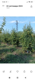 Продава  Земеделска земя област Бургас , гр. Ахелой , 4 дка | 87494689 - изображение [4]