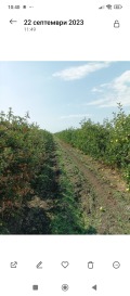 Продава  Земеделска земя област Бургас , гр. Ахелой , 4 дка | 87494689 - изображение [3]