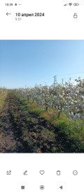 Продава  Земеделска земя област Бургас , гр. Ахелой , 4 дка | 87494689 - изображение [6]
