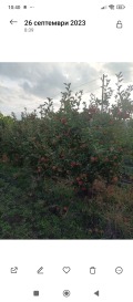 Продава  Земеделска земя област Бургас , гр. Ахелой , 4 дка | 87494689