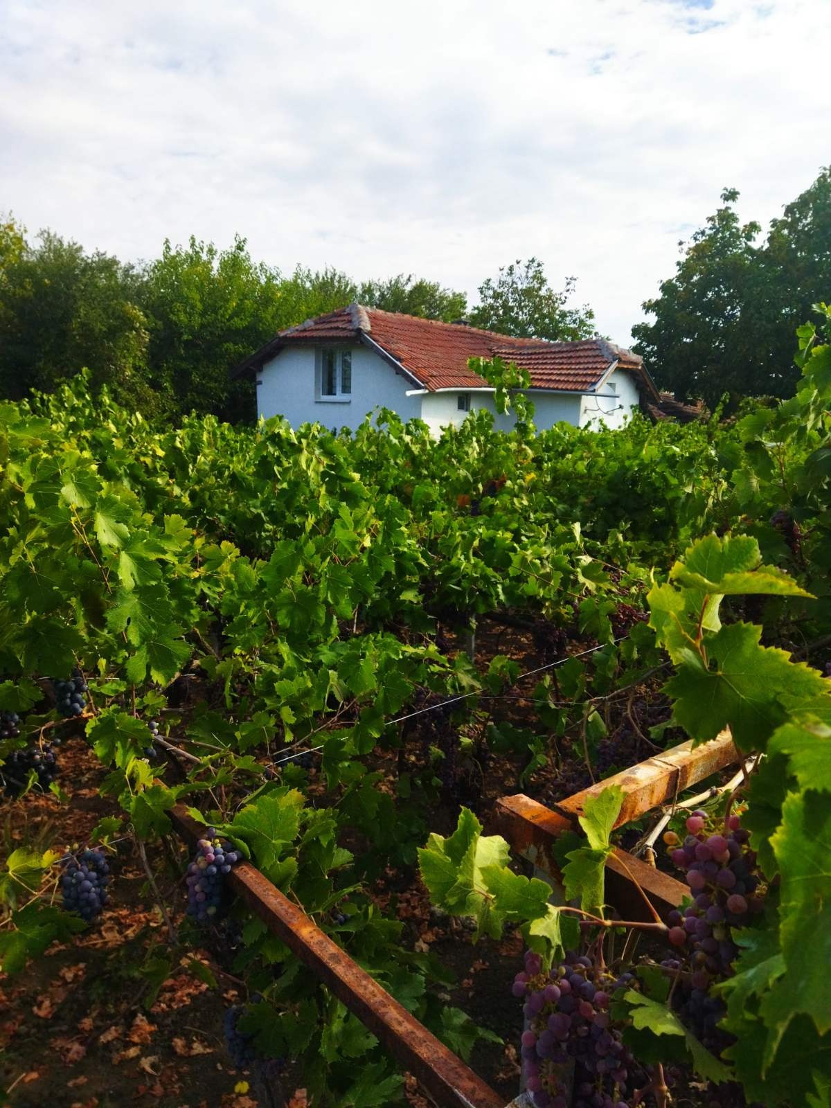 ������� ���� | Imot.bg � ����������� 1