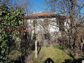 Hus Nedyalsko, region Yambol 3