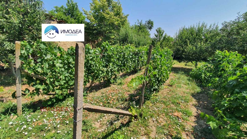 Te koop  Huis regio Gabrovo , Slavejkovo , 67 m² | 82453532 - afbeelding [4]