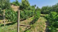Продава КЪЩА, област Габрово, с. Славейково • 62000 € • 47283501 — Holmes.bg