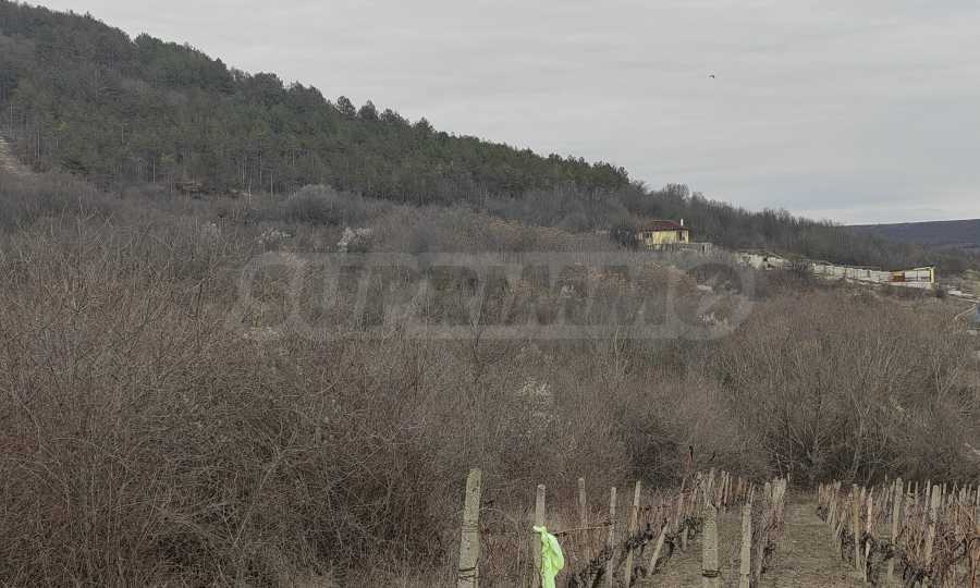 ������� ������ | Imot.bg � ����������� 6