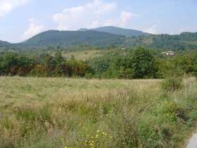 ������� ������ | Imot.bg � ����� ������ 5