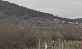 ������� ������ | Imot.bg � ����� ������ 6