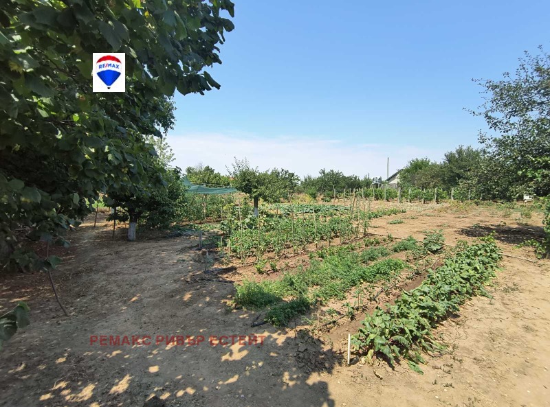 Продава КЪЩА, гр. Тутракан, област Силистра, снимка 11 - Къщи - 52439821