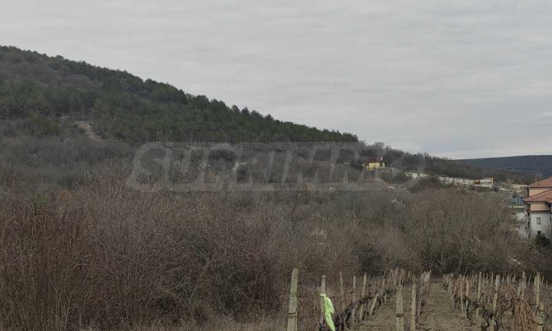 Продава ПАРЦЕЛ, с. Рогачево, област Добрич, снимка 3 - Парцели - 53512009