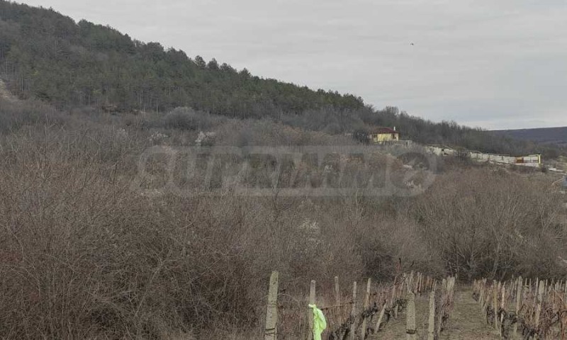 Продава ПАРЦЕЛ, с. Рогачево, област Добрич, снимка 6 - Парцели - 53512009