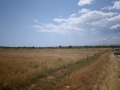 Продава ПАРЦЕЛ, с. Кошарица, област Бургас, снимка 5