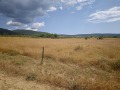 Продава  Парцел област Бургас , с. Кошарица , 4300 кв.м | 38632416 - изображение [6]