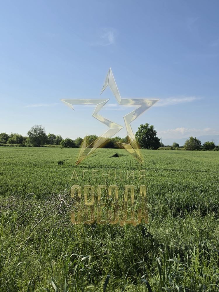 ������� ������ | Imot.bg � ����������� 5