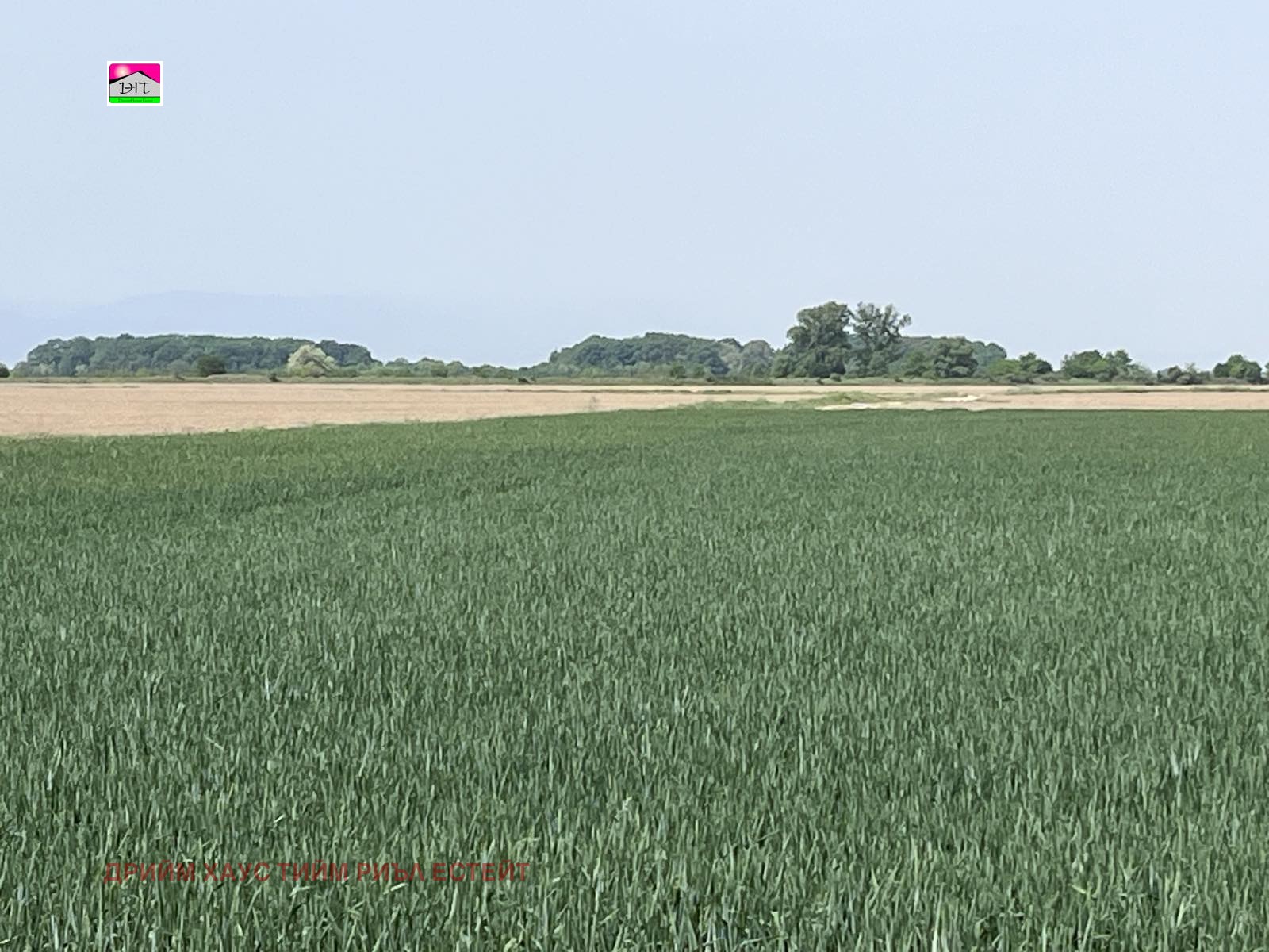 Продава ЗЕМЕДЕЛСКА ЗЕМЯ | Imot.bg — изображение 4