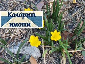   | Imot.bg    4