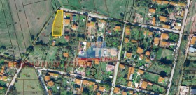 ������ ������� ������