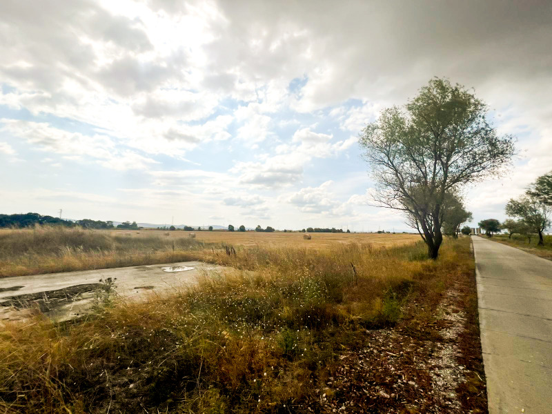 Na prodej  Spiknutí oblast Sofia , Kostinbrod , 16488 m2 | 26791281 - obraz [3]