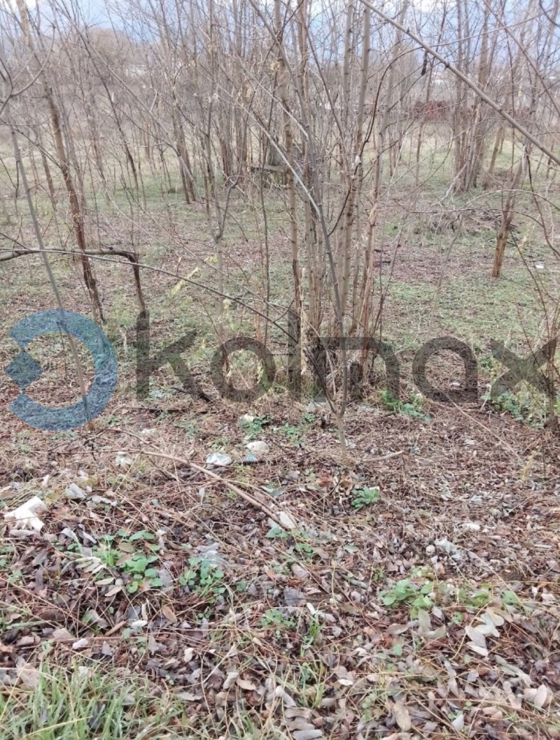 Te koop  Land regio Blagoëvgrad , Gotse Deltsjev , 2.36 dka | 67611927 - afbeelding [2]