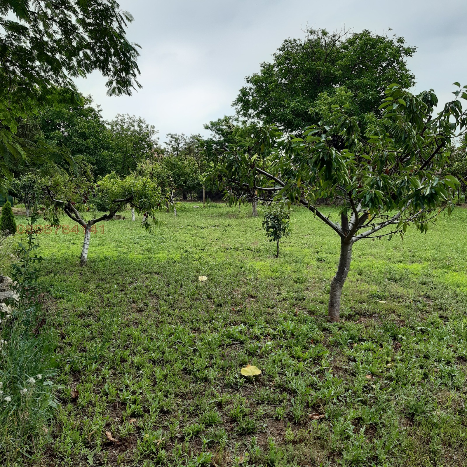 Продава КЪЩА, с. Беловец, област Разград, снимка 13 - Къщи - 53667344