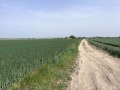 Продава ЗЕМЕДЕЛСКА ЗЕМЯ, с. Строево, област Пловдив, снимка 2