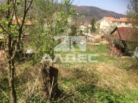 ����� ������� ������,���� �����, �. ������