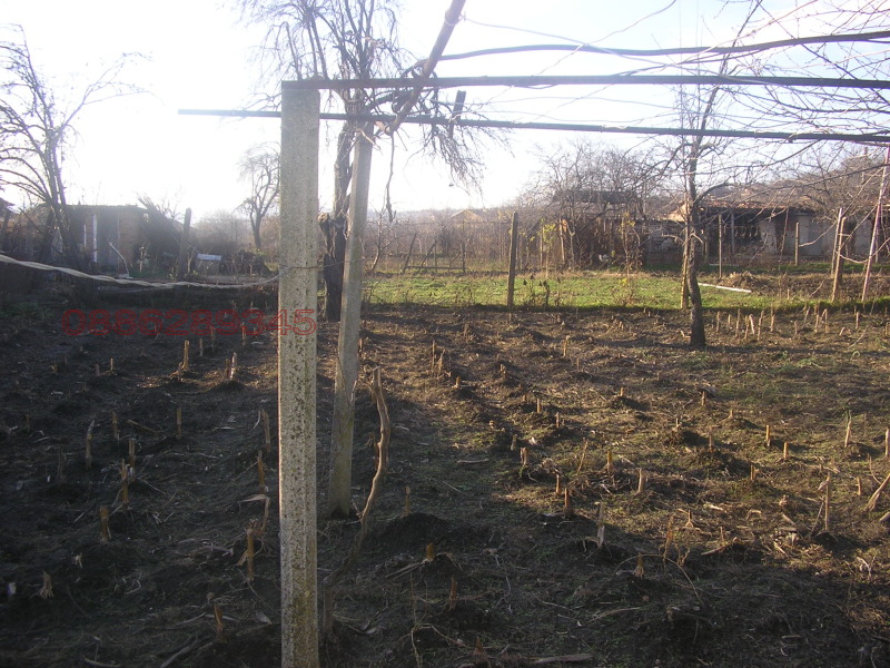 Продава КЪЩА, гр. Дългопол, област Варна, снимка 6 - Къщи - 52957997