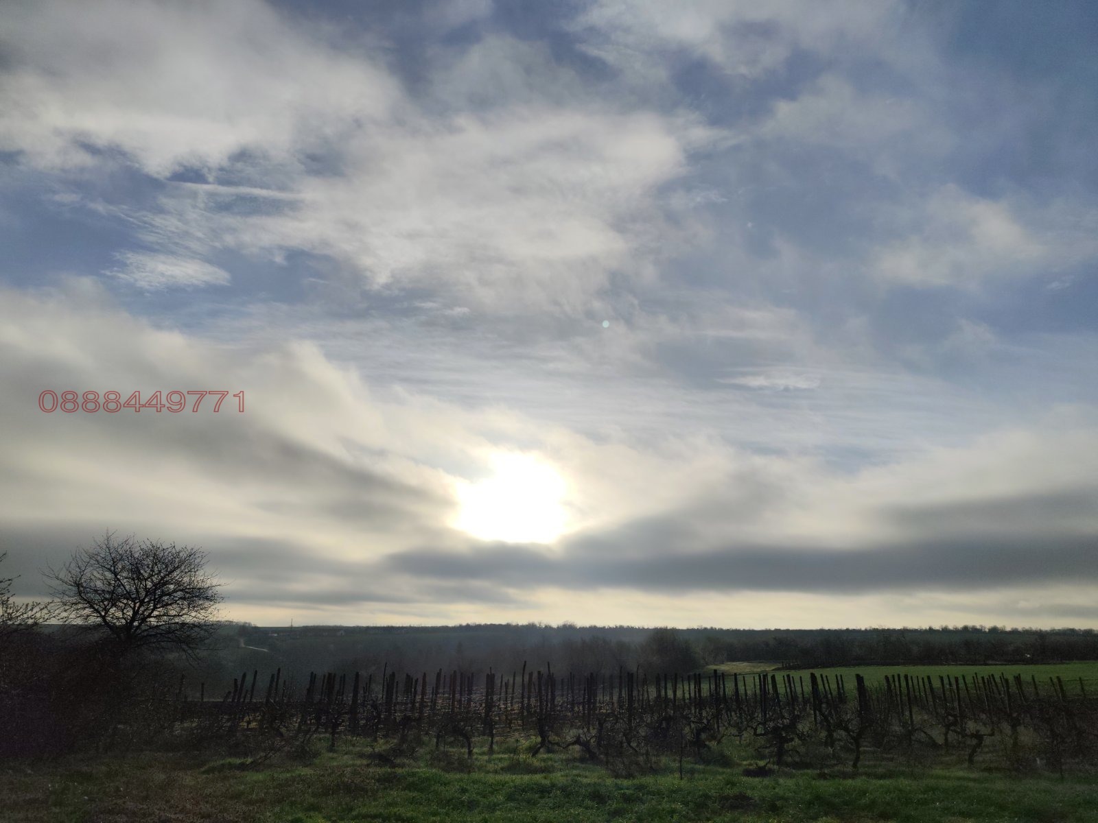 Продава ЗЕМЕДЕЛСКА ЗЕМЯ, с. Сребърна, област Силистра