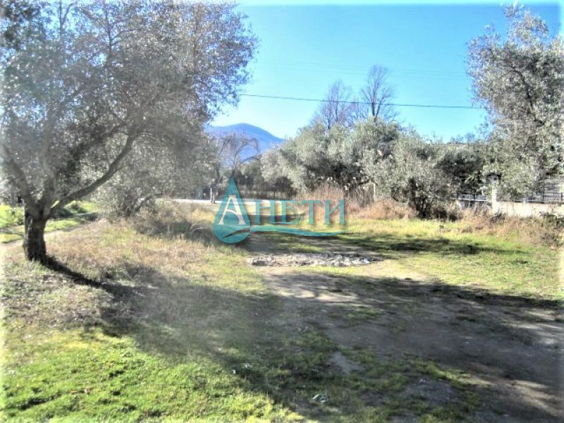 Продава ПАРЦЕЛ | Imot.bg — изображение 7