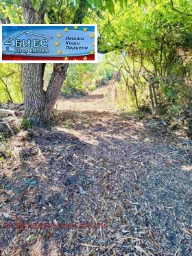 ������� ���� | Imot.bg � ����� ������ 7