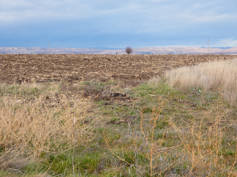 Продава ПАРЦЕЛ, гр. София, Република 2, снимка 2 - Парцели - 49440285