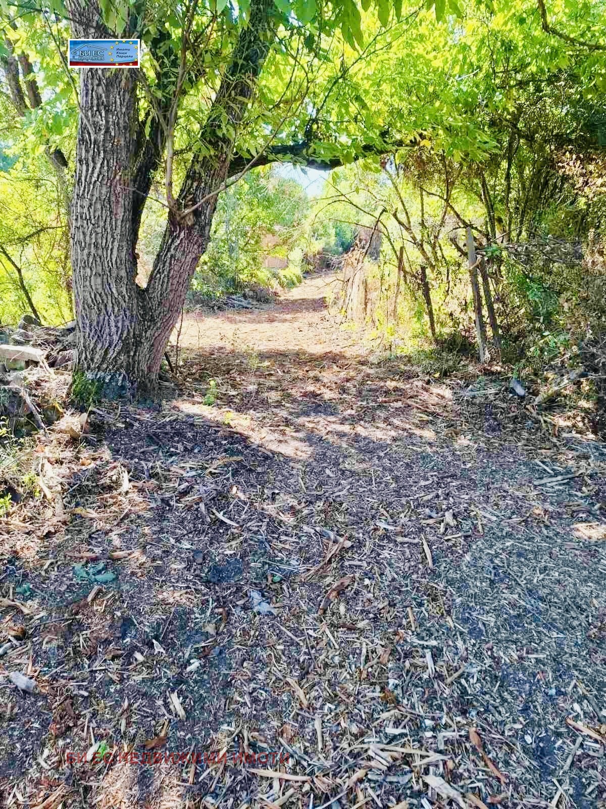 Продава КЪЩА, с. Светля, област Перник, снимка 7 - Къщи - 53688560