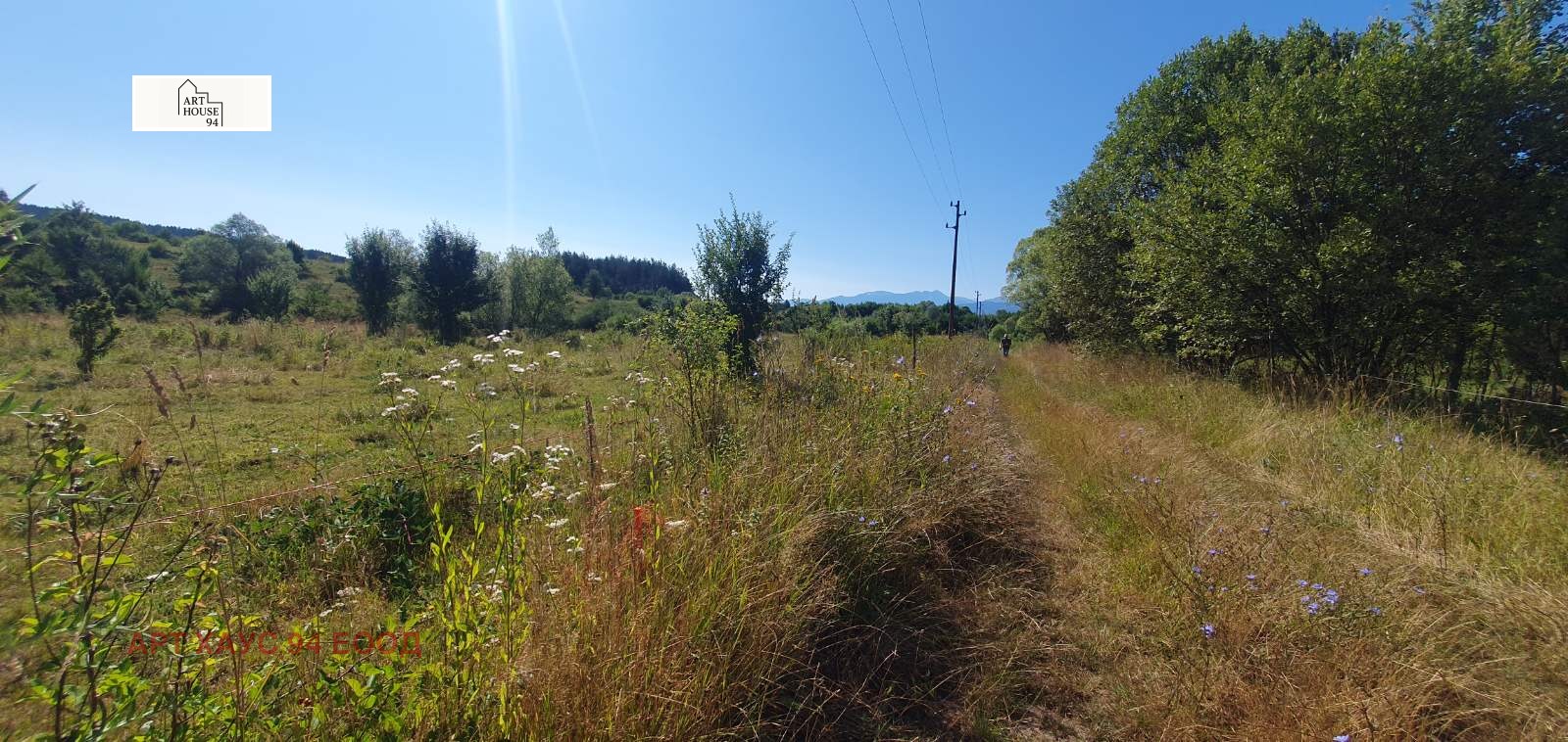 Продава ПАРЦЕЛ, с. Алино, област София област, снимка 3 - Парцели - 55857680