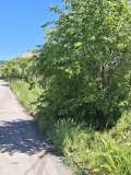 Продава ПАРЦЕЛ, гр. Радомир, област Перник, снимка 7