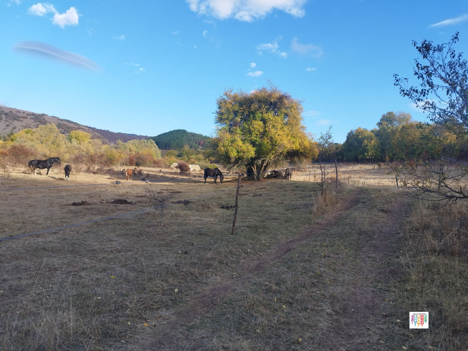 ������� ������ | Imot.bg � ����������� 16