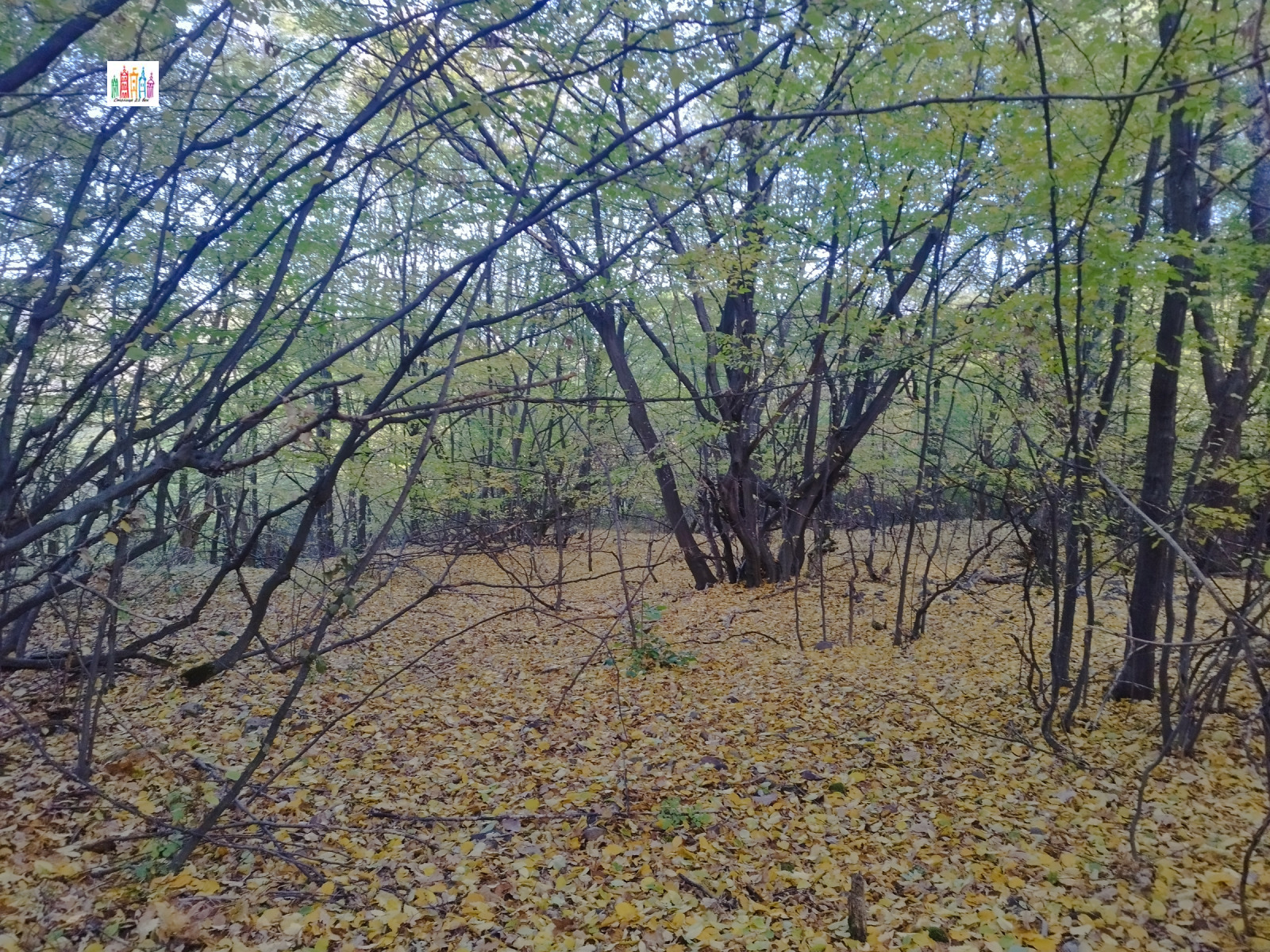 ������� ������ | Imot.bg � ����������� 11